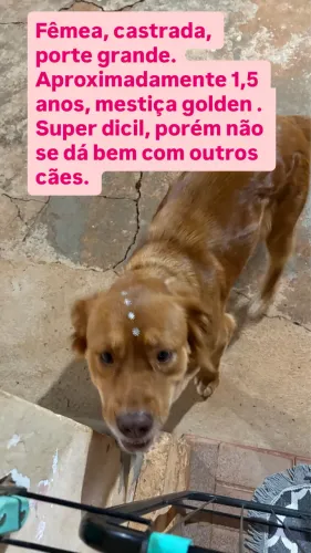 Doação responsável 
