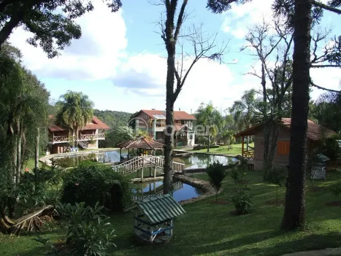 Fazenda / Sítio / Chácara à venda Rua da Cascata, Centro - Nova Petrópolis