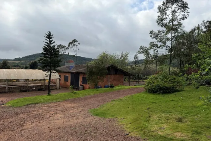 Estrutura de viveiro com casa para alugar, Santa Maria, Santa Tereza do Oeste