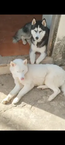 Doação responsável 