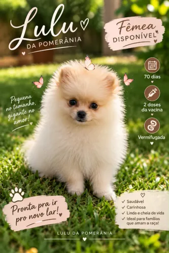 Lulu da pomerania