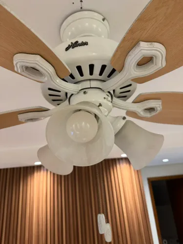 Ventilador Hunter 110v 