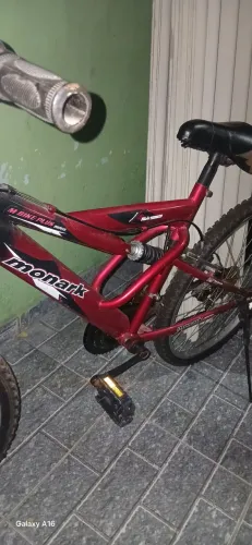 Bicicleta