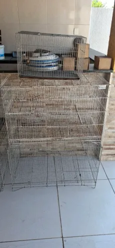 Vendo gaiolas e criadeira