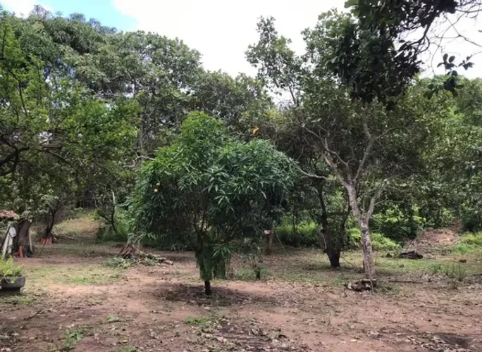 DS: Excelente Sítio. Povoado Soturno 