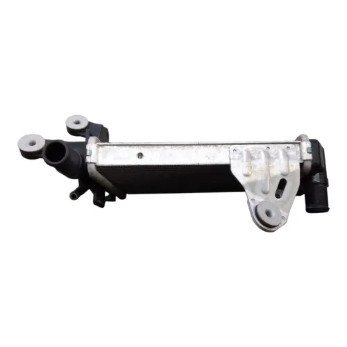 Radiador Esquerdo Bmw R1250gs 2019/2022