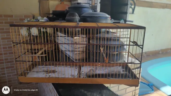 Gaiola Enorme para pássaros grandes