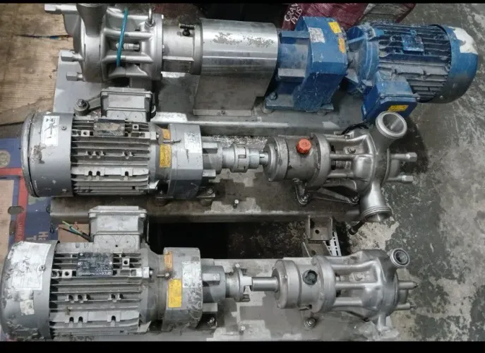 Bombas rotor senoidal deslocamento positivo