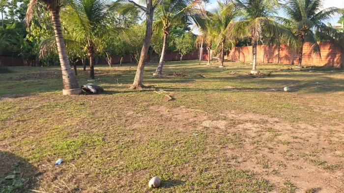 Serviço Gerais