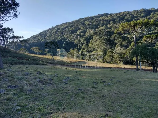 Terreno para Sítio á venda em Bom Jardim da Serra/SC