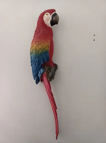 Arara vermelha (parede)