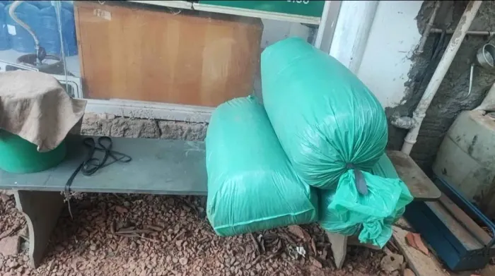 Pacote de Silagem de Milho 30 kg