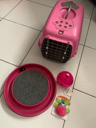 Cx de transporte p/ gatos e alguns brinquedos