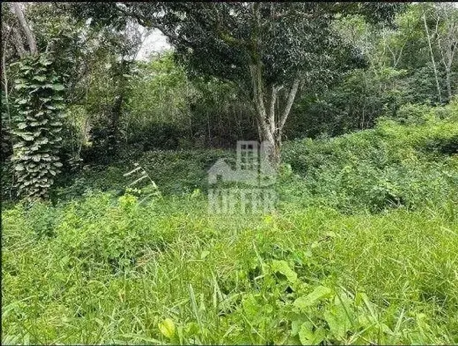 Terreno à venda, 2100,14 m² por R$ 240.000 - Muriqui - Niterói/RJ