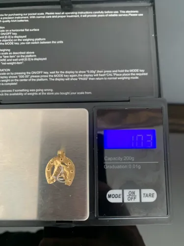 Pingente cavalo com ferradura de Ouro 18k