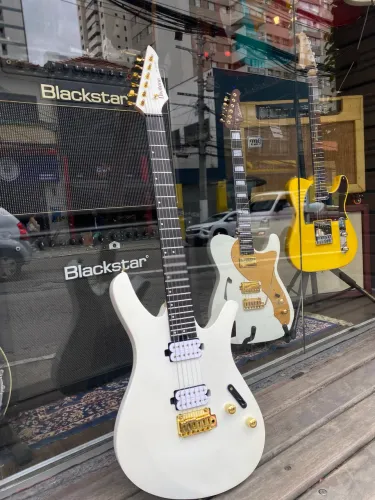 Guitarra Divitone Modern Fly Dsg-10 Artic Ore