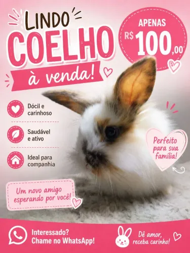 Coelho