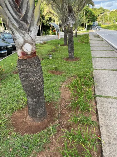 Jardinagem paisagismo serviços gerais de Jardineiro Sorocaba e cidades próximas