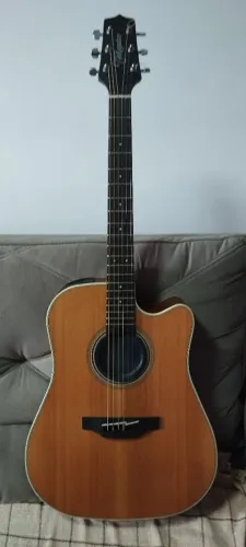 Takamine GD20