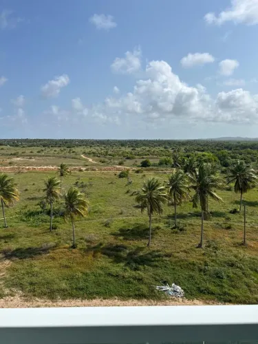 Viver aruana no melhor preço