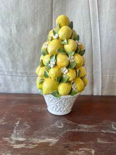 Vaso limoeiro em porcelana 30x18