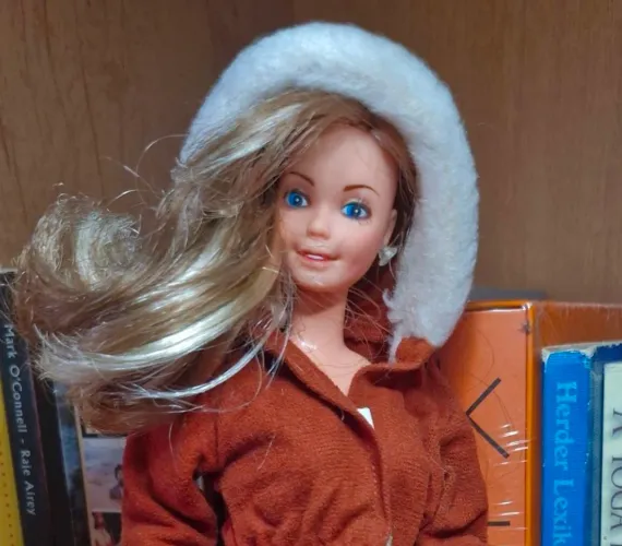 Roupa Barbie Roupa Estrela ROUPA