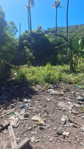 Terreno 8 por 20