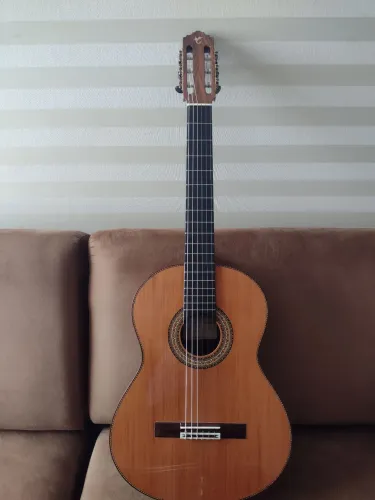 Violão