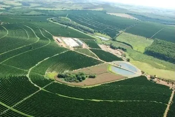 Fazenda 530 Hectares, 268 Hectares em Lavoura de Café, 16 Hectares em Eucalipto, Rico em Á