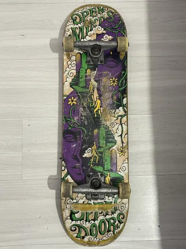 Skate profissional