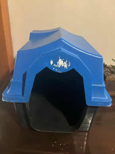 Casinha de cachorro 
