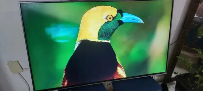 Smart Tv Lg 43 4k Excelente Lindissima Completa
