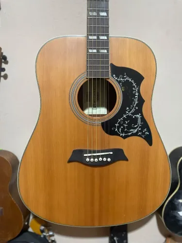 Violao Michael Vm925