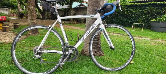Audax ventus 2000