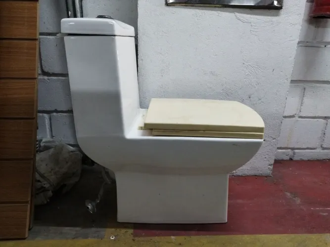 Vaso sanitário, novo só uma boa limpeza 