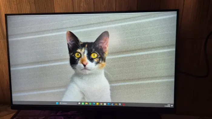 Monitor Gamer Mancer 240Hz 1ms (Com detalhe na tela / Leia a descrição)