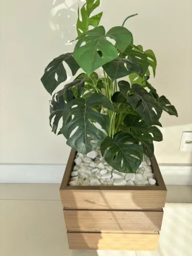 Planta Artificial Costela de Adão em Cachepot 
