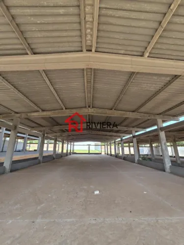 GALPAO INDUSTRIAL em São Luís - MA, Vila Itamar
