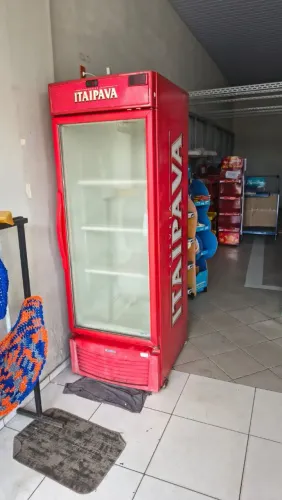 Freezer vertical