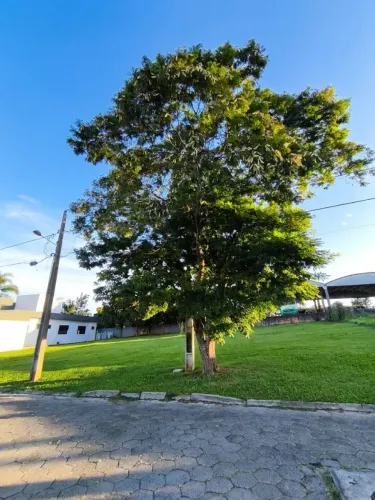 Terreno em loteamento tranquilo e de ótimo padrão - 432m²
