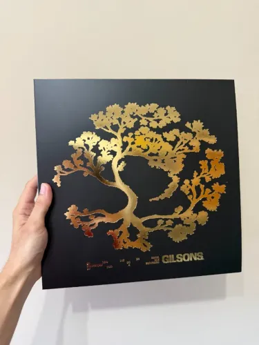Vinil Gilsons - Eu Vejo Luz Em Maior Proporção Do Que Eu Vejo A Escuridão