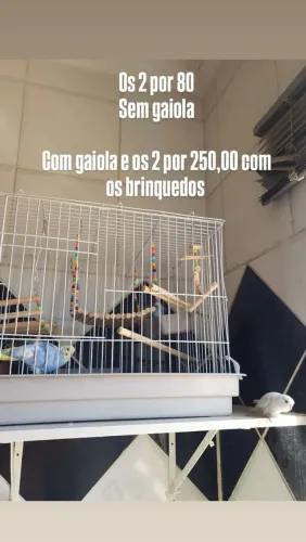 Disponíveis