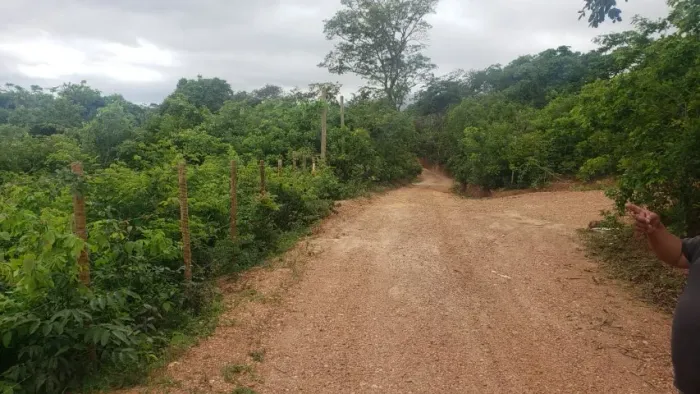 Chácara 2,500 metros na serra do cipó aceita carro ou moto na troca * whatsapp