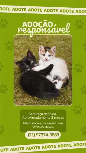 ADOÇÃO RESPONSÁVEL