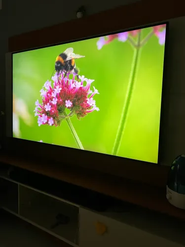 TV LG NANOCELL 75 POLEGADAS