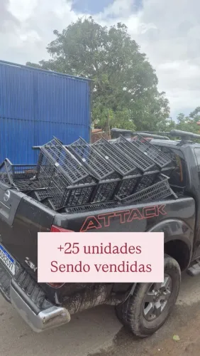 Cesto Expositor Tamanho G e P