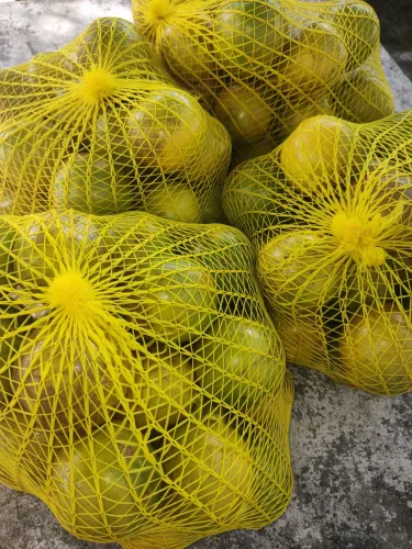 100 Laranjas por 40,00 Reais 