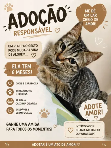 Doa-se gatinha