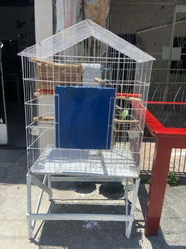 Vendo viveiro novo