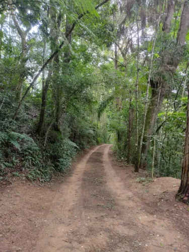 Caseiro temporário - Campo Limpo Paulista 